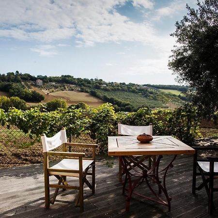 B&B Il Cavallino Civitanova Alta Dış mekan fotoğraf