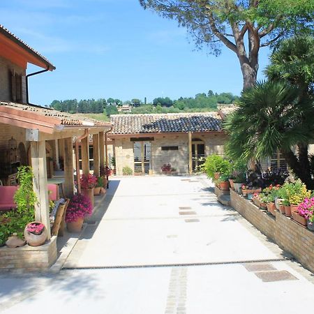 B&B Il Cavallino Civitanova Alta Dış mekan fotoğraf