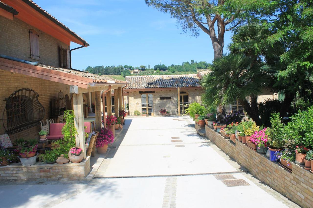 B&B Il Cavallino Civitanova Alta Dış mekan fotoğraf