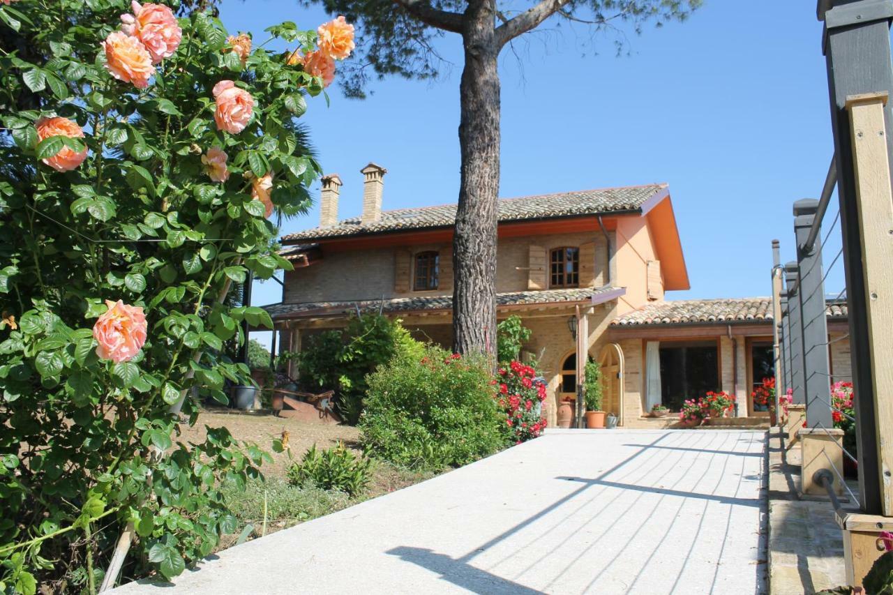B&B Il Cavallino Civitanova Alta Dış mekan fotoğraf