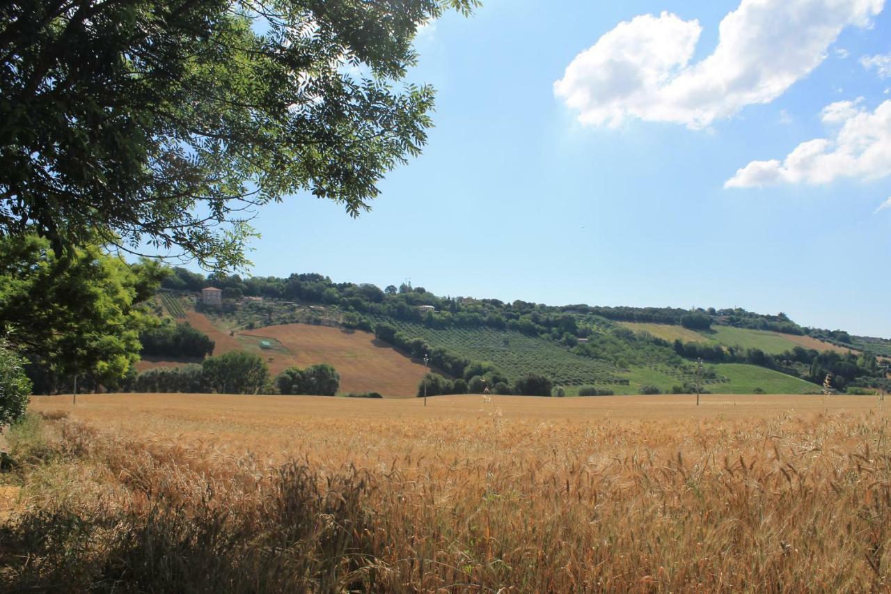 B&B Il Cavallino Civitanova Alta Dış mekan fotoğraf