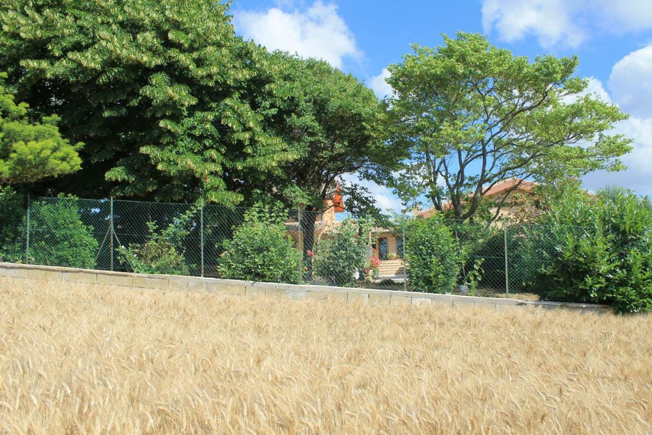 B&B Il Cavallino Civitanova Alta Dış mekan fotoğraf